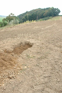 Buried alive