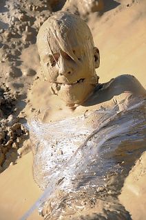 Mummified in the mud
