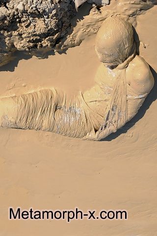 Mummified in the mud