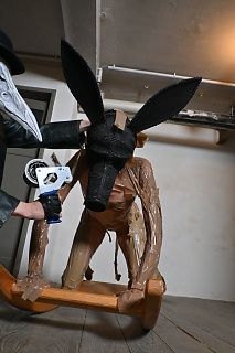 The donkey well packaged