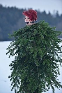 The forgotten Christmas tree