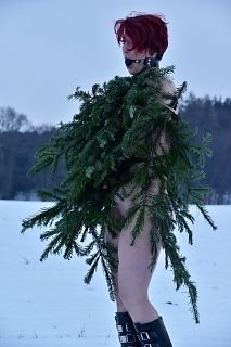 The forgotten Christmas tree