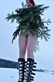The forgotten Christmas tree