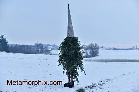 The forgotten Christmas tree