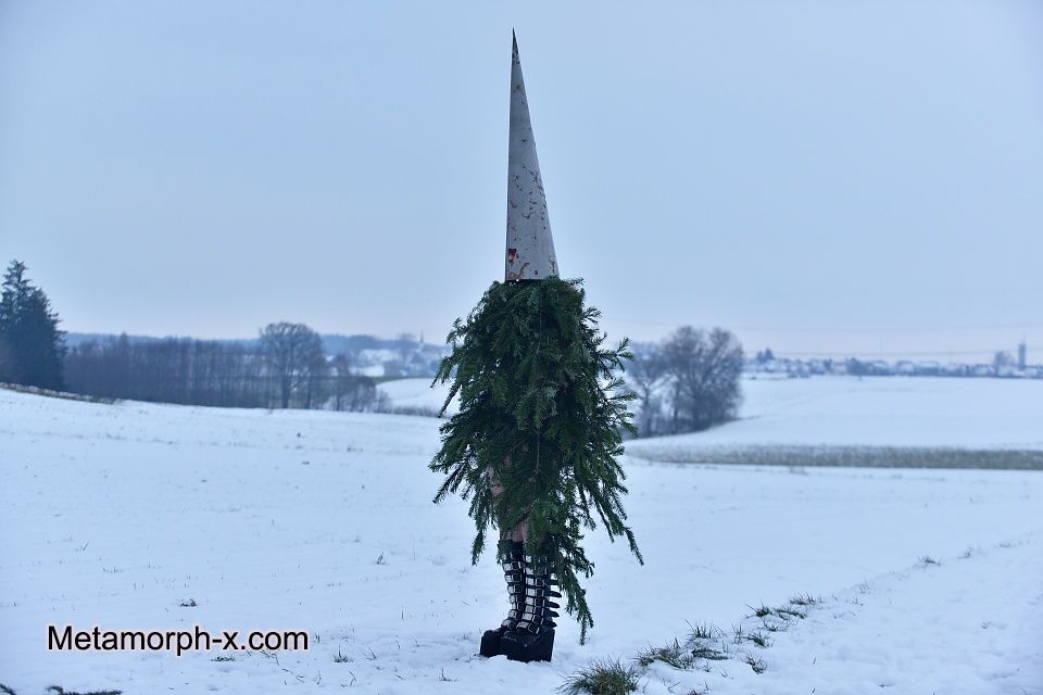 The forgotten Christmas tree
