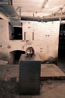 The living cave of the tarantula