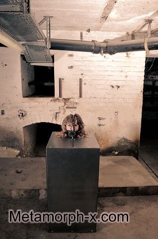 The living cave of the tarantula