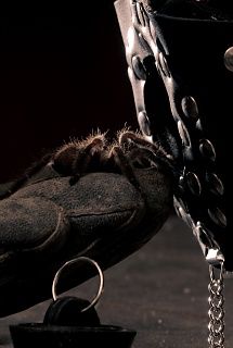 The living cave of the tarantula