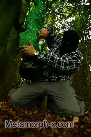 The mummy in the forest