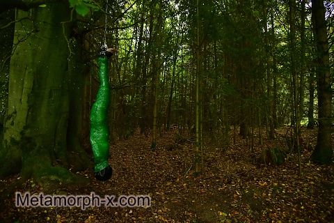 The mummy in the forest