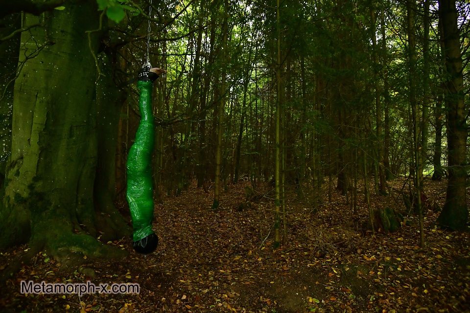 The mummy in the forest